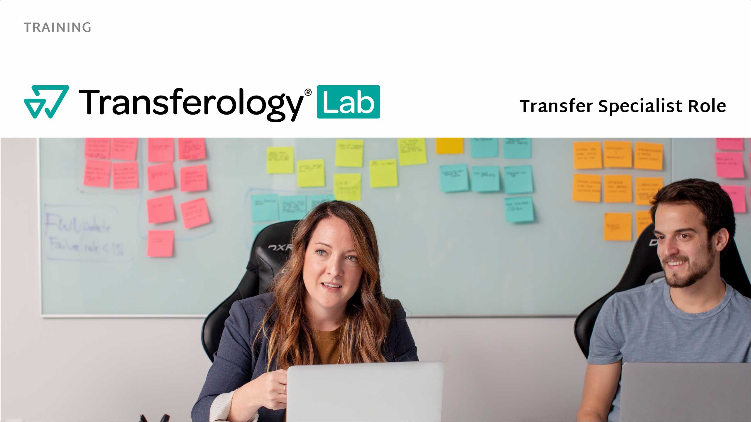 Transferology Training for Transfer Specialist Role