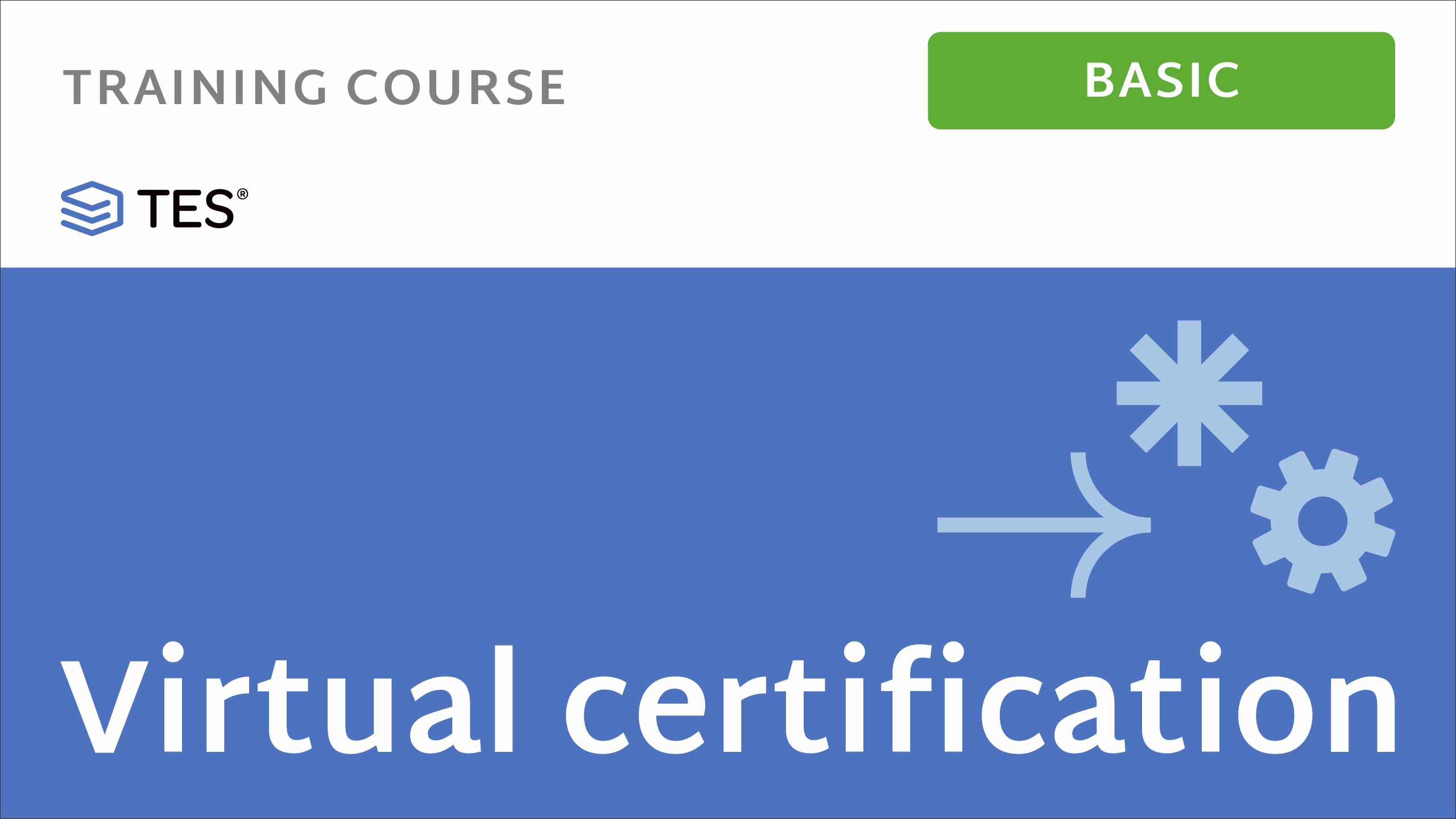 TES Basic Virtual Certification